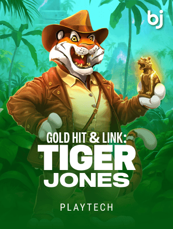 Gold Hit & Link Tiger Jones screenshot